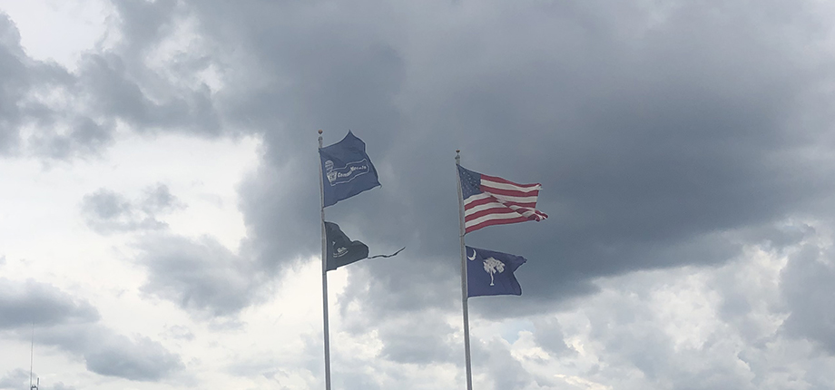 Flags in front of building